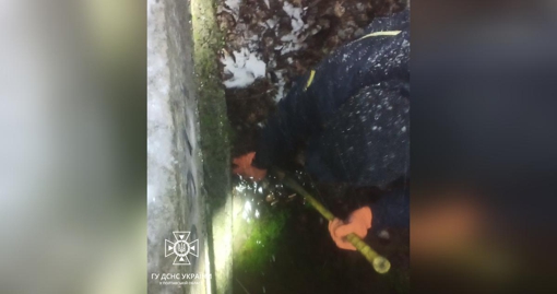 У Полтавській області врятували песика, який потрапив у пастку та ледь не втонув