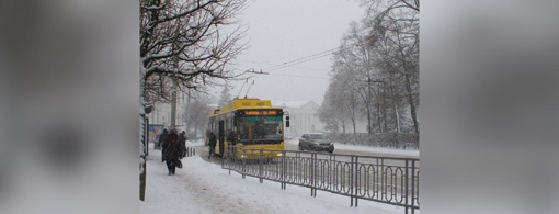 У Полтаві через аварію не випустили на маршрути тролейбуси