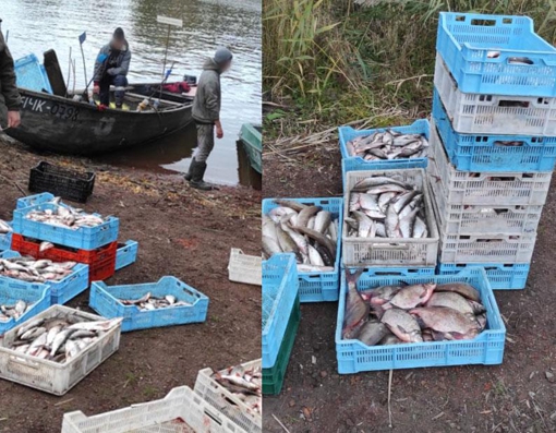 У Полтавській області браконьєри незаконно наловили риби на понад 700 тис. грн