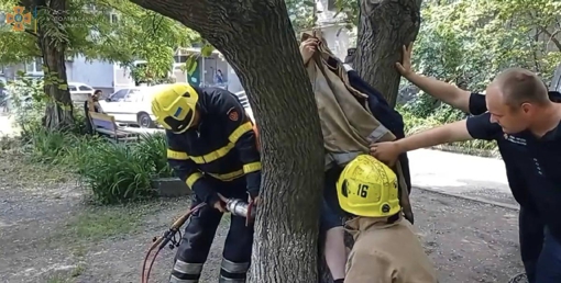 На Полтавщині дитина застрягла в дереві