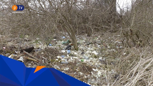 Сморід та сміття: у селах Тахтаулове та Жуки замість баків – стихійне сміттєзвалище
