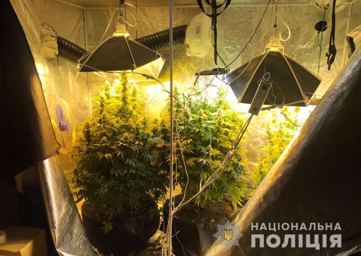 У Полтавській області затримали чоловіка, який продавав наркотики. ВІДЕО