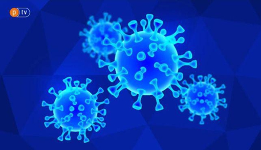 За тиждень на Полтавщині виявили 2048 нових випадків захворювання на коронавірус