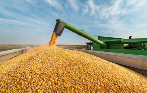 На Полтавщині намолотили 2 млн тонн зернових і зернобобових культур