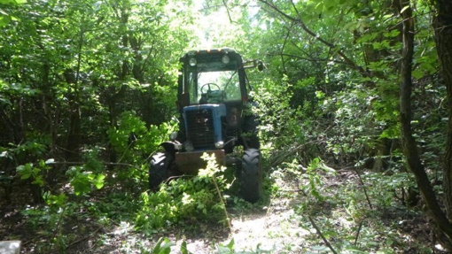 На Полтавщині чоловік вкрав трактор та намагався сховати його під гілками