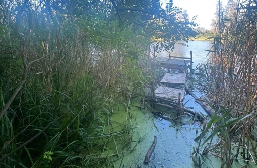 У Полтаві чоловік втонув у водоймі