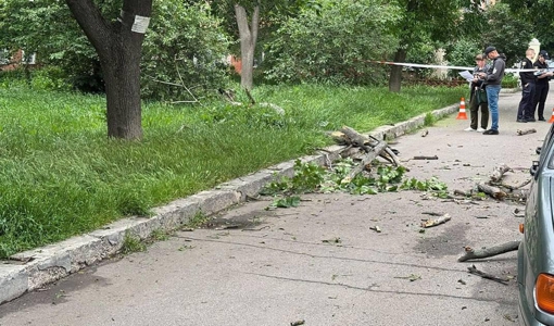 Родині хлопчика, який поранений від падіння дерева, виділили матеріальну допомогу