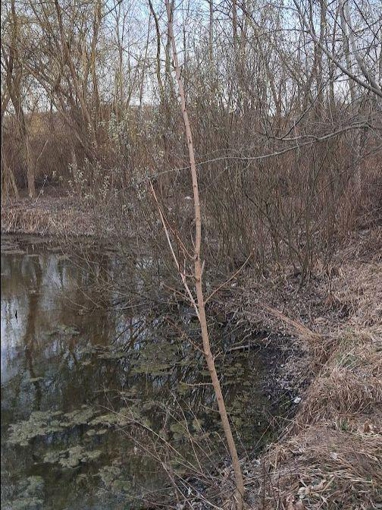 Хлопчика побили в Дендропарку під час рибалки