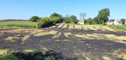 На Полтавщині під час спалення сухої трави загинув пенсіонер
