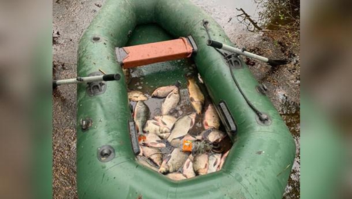 На Полтавщині чоловік завдав збитків незаконним виловом риби на майже пів мільйона гривень