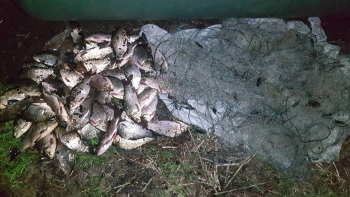 У Кременчуцькому районі чоловік незаконно виловив риби на понад 54 тисячі гривень