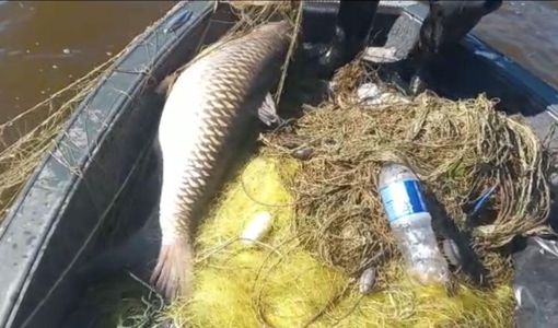 На Полтавщині з водойми вилучили понад півтора кілометра браконьєрських сіток з рибою