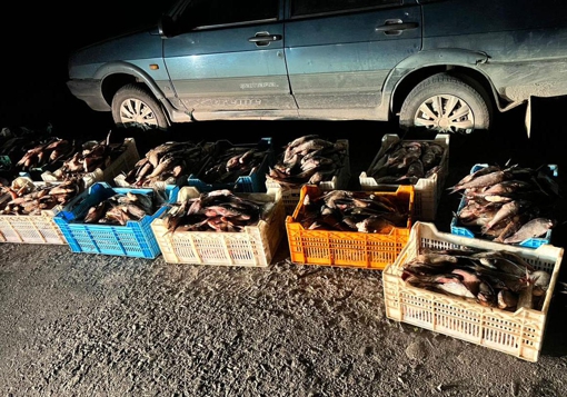 На Полтавщині чоловік незаконно перевозив понад 700 кг свіжовиловленої риби