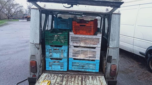У Кременчуцькому районі чоловік незаконно перевозив півтони риби: завдані збитки понад 1 мільйон гривень