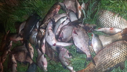 У Кременчуцькому районі чоловік незаконно виловив риби на понад 750 тис. грн
