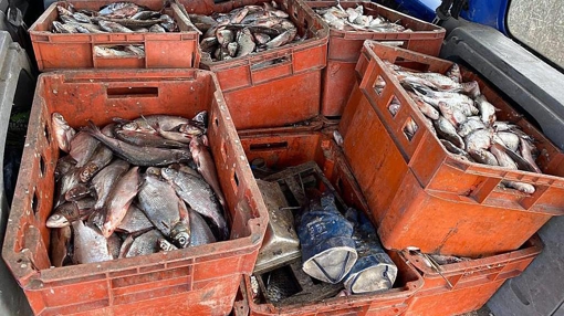 У Полтавській області чоловік перевозив 320 кг риби на суму 2 мільйони гривень
