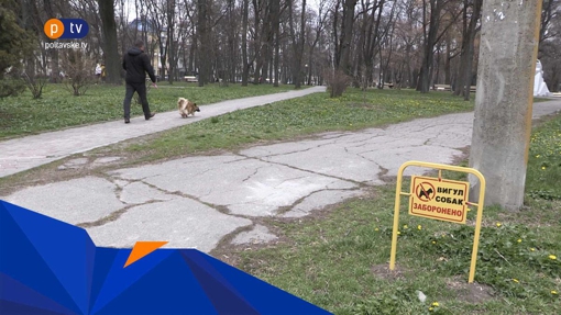 У Полтаві заборонили вигулювати тварин в парках та скверах