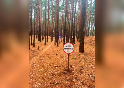 На Полтавщині на 72-річну жінку впало дерево