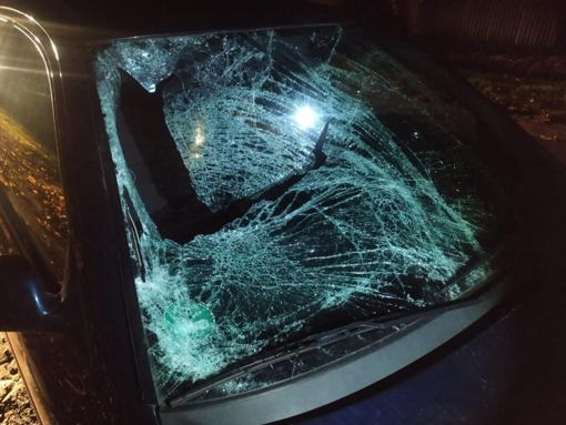 На Полтавщині нетверезий водій автомобіля збив 16-річного хлопця