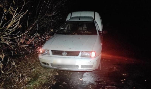 У Полтавській області авто на смерть збило жінку-пішохода