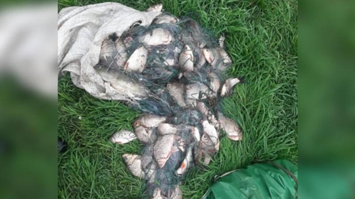 На Полтавщині двоє чоловіків незаконно виловили риби на понад 300 тис. грн