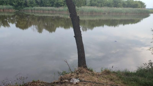 На Полтавщині виявили тіло рибалки, який потонув у ставку
