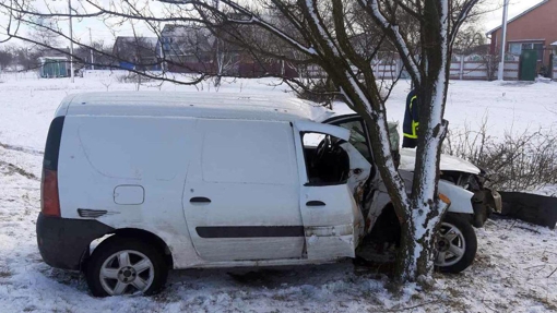 У Полтавській області водій у стані алкогольного сп’яніння з’їхав у кювет та врізався в дерево