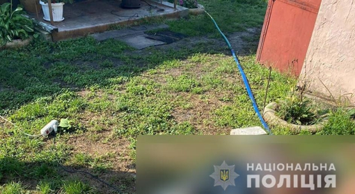 Ймовірно, вразило струмом: на Полтавщині поліція з'ясовує смерть пенсіонера