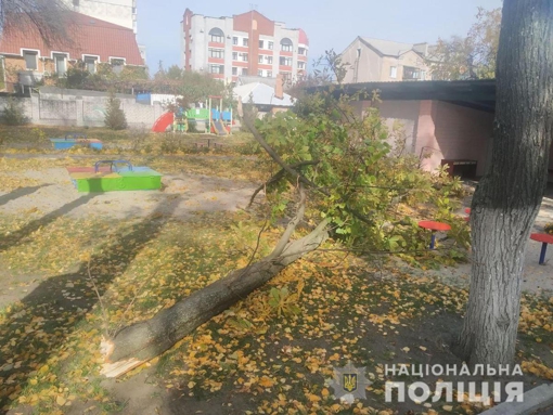 У дитячому садочку на Полтавщині на дітей впало дерево: чотирирічна дівчинка померла. ОНОВЛЕНО