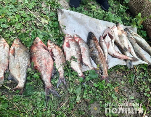 На Полтавщині браконьєри наловили риби на понад 280 тисяч гривень