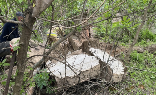 Обвал стіни в будинку на Полтавщині: загинув чоловік