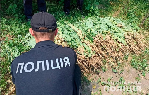 На Полтавщині викрили трьох осіб, які вирощували наркотичний мак
