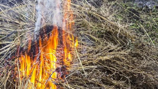На Полтавщині під час пожежі згоріло 20 тонн сіна