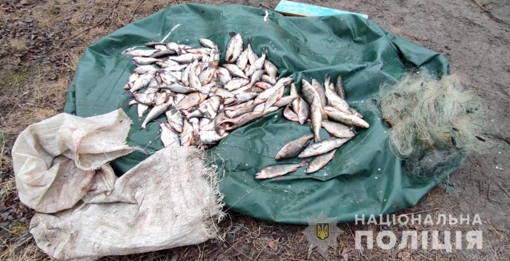 На Полтавщині виявили чоловіка, який незаконно виловив риби на близько 240 тис. грн